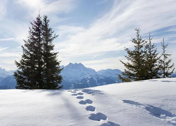 Apartament Grand-hotel B35 By Interhome